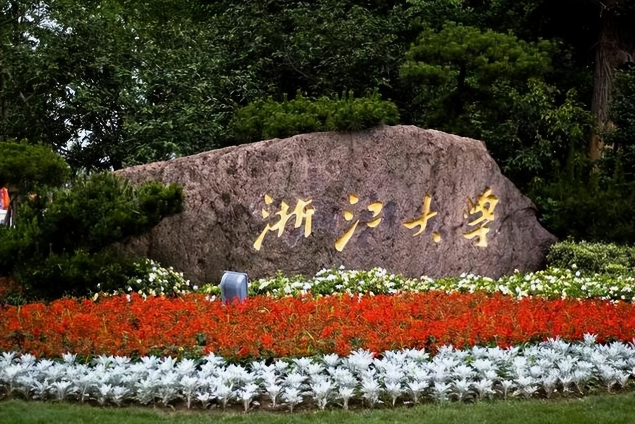 浙大学霸应聘驱鸟员,驱鸟员安检员