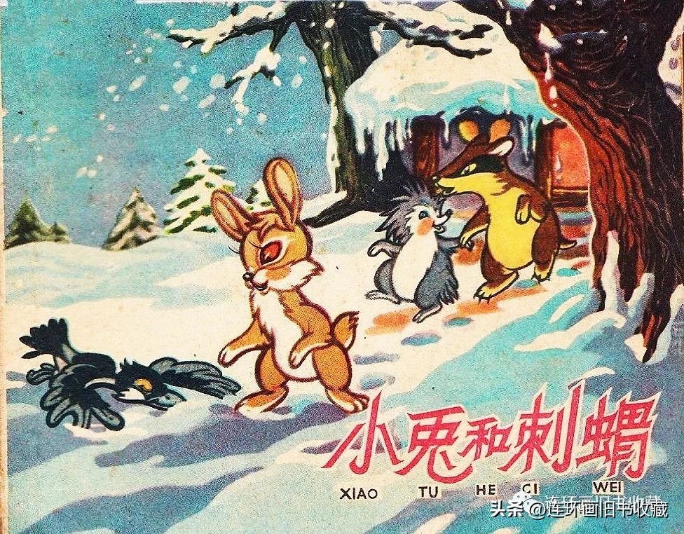 白兔和黑兔四格连环画,关于兔年的多格连环画