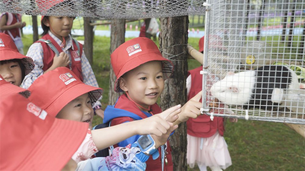 转龙道平安福,转龙镇的平安符