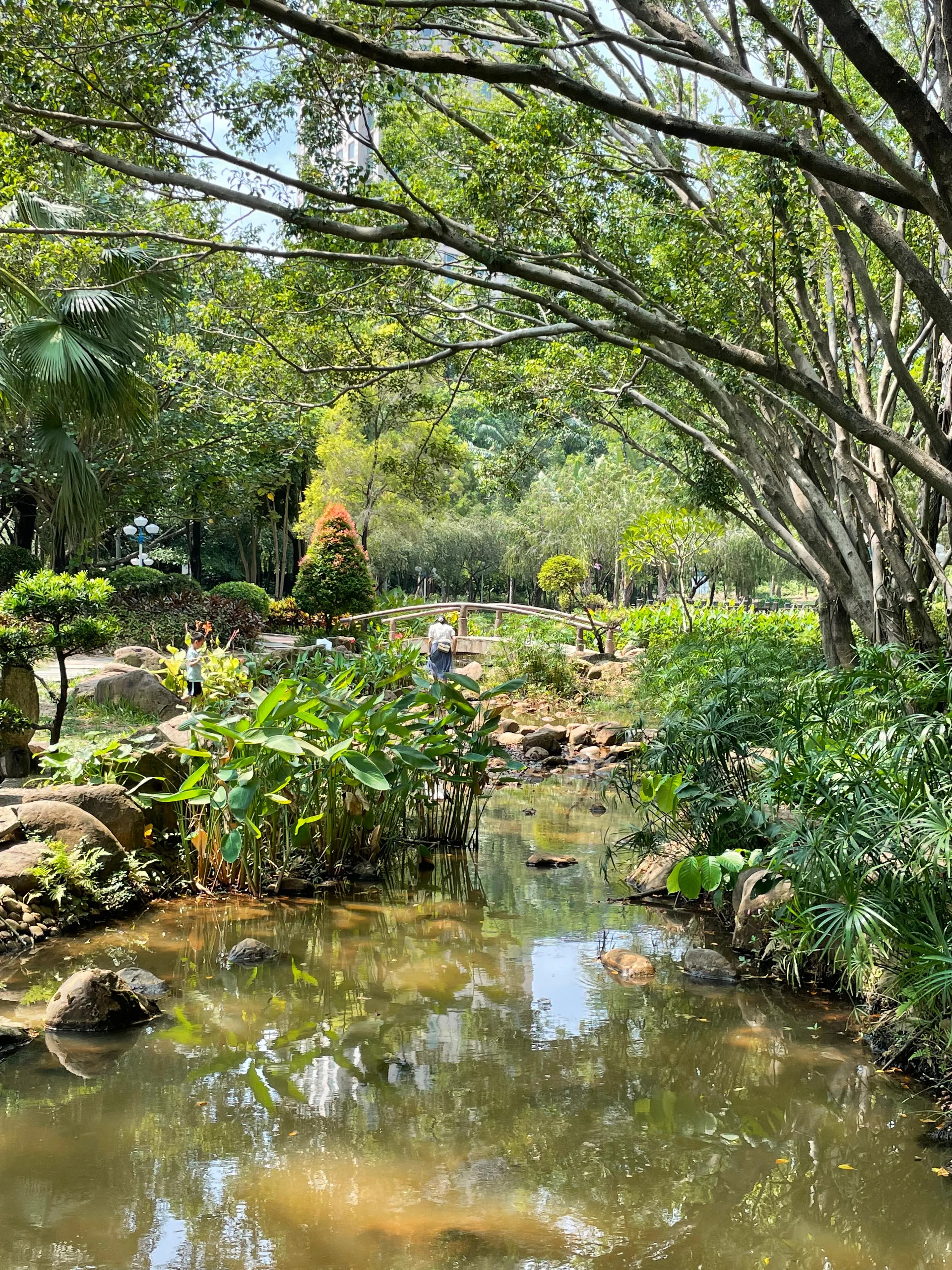 龙岗五联郊野公园,深圳市龙岗区双龙公园