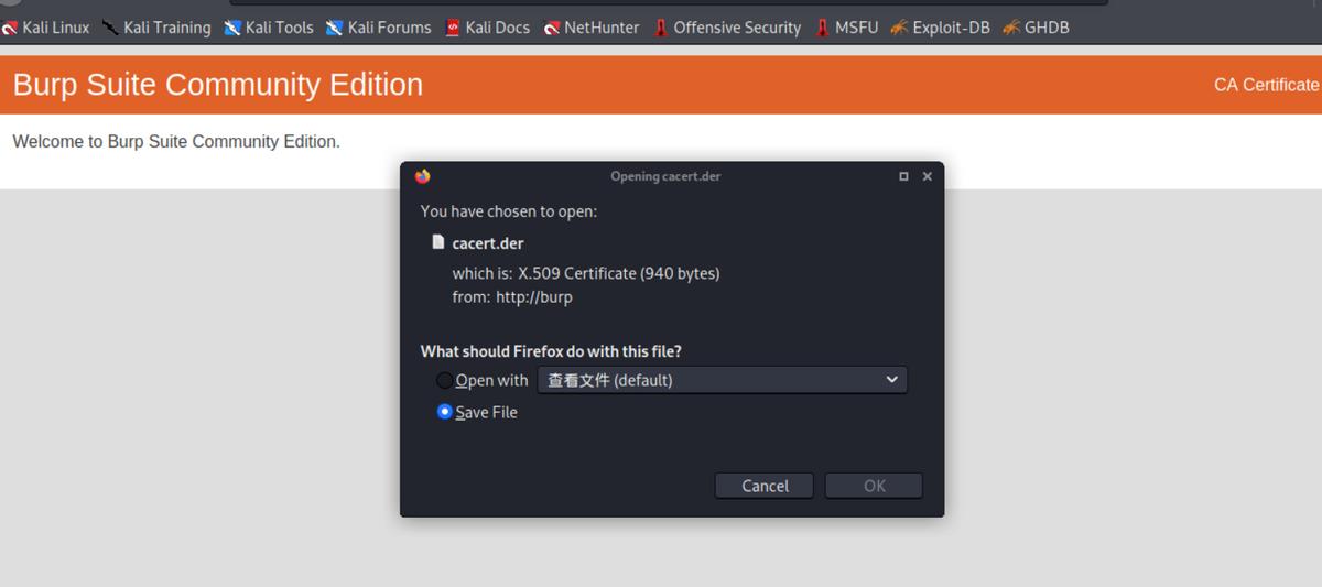 kali中burpsuite怎么汉化,kali里面自带burpsuite吗