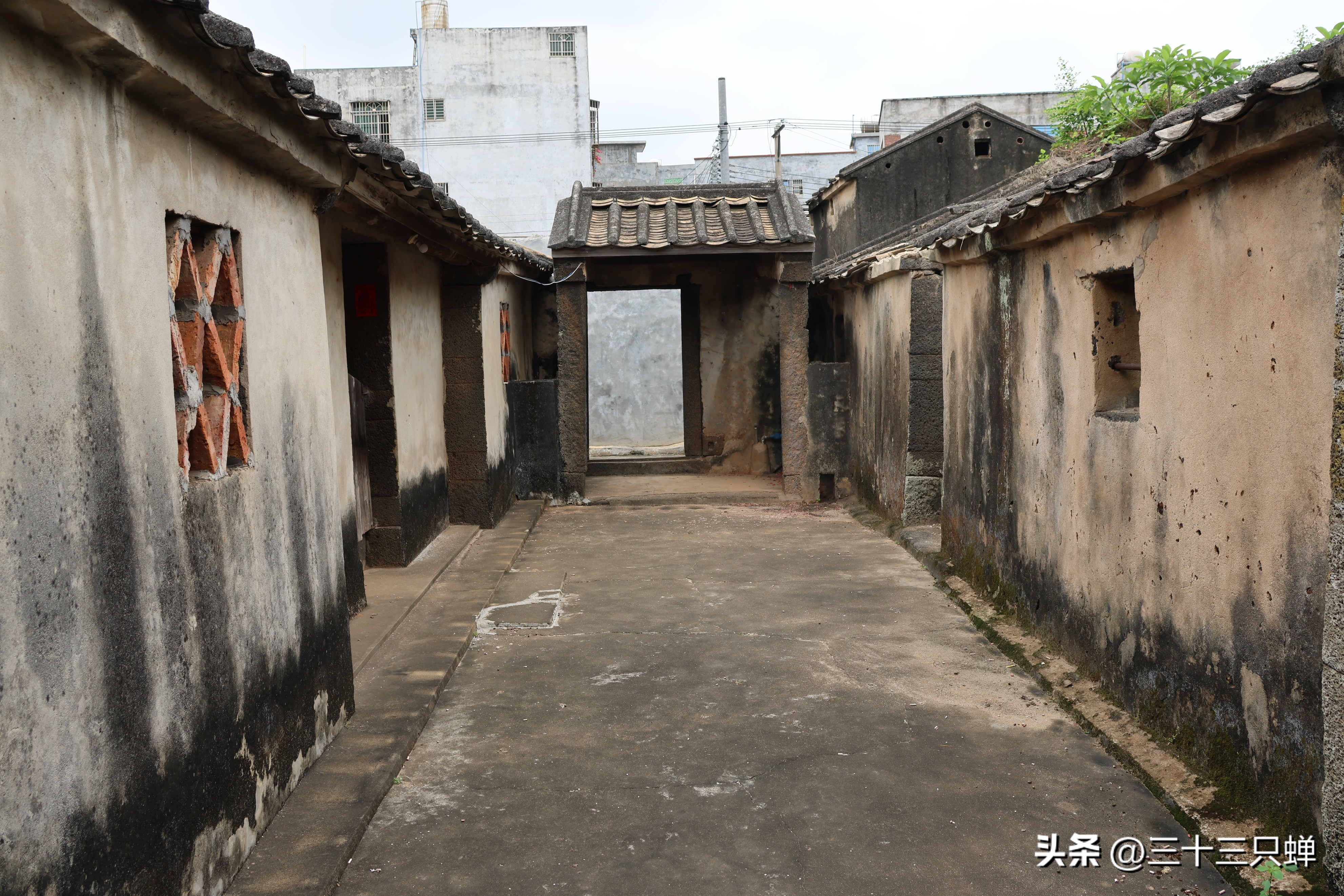 海口王氏宗祠在哪里,海口长流堂善村的人