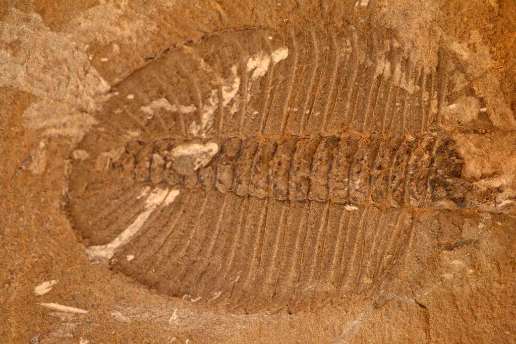 中国历史精简史,中国历史演变五千年图