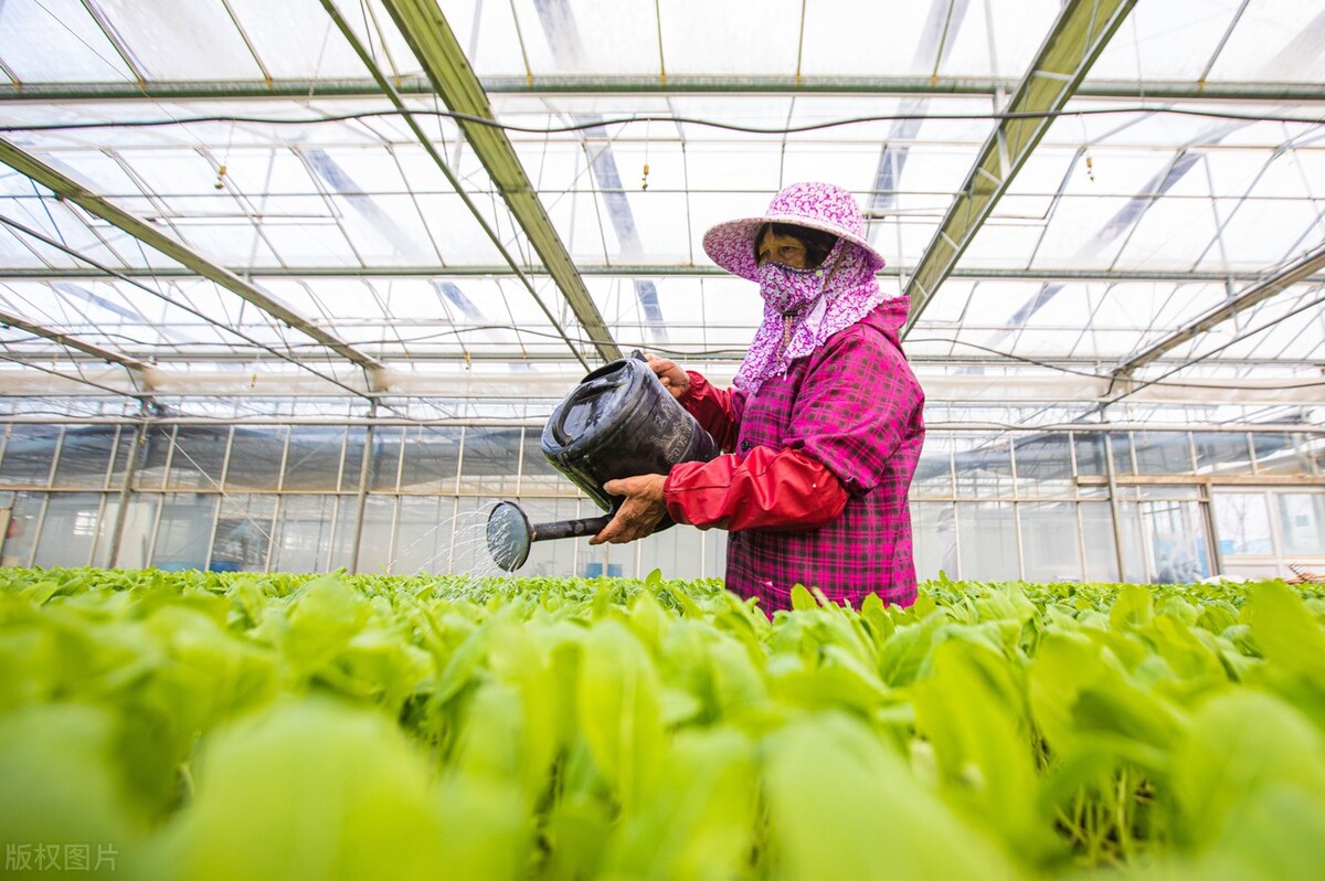 生态农业做什么最赚钱,生态农业前景如何
