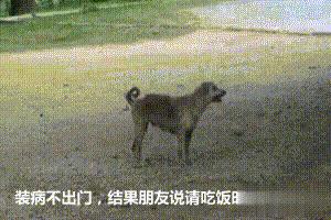 搞笑gif小姐姐这刀玩的真是太溜了,搞笑趣图小姐姐