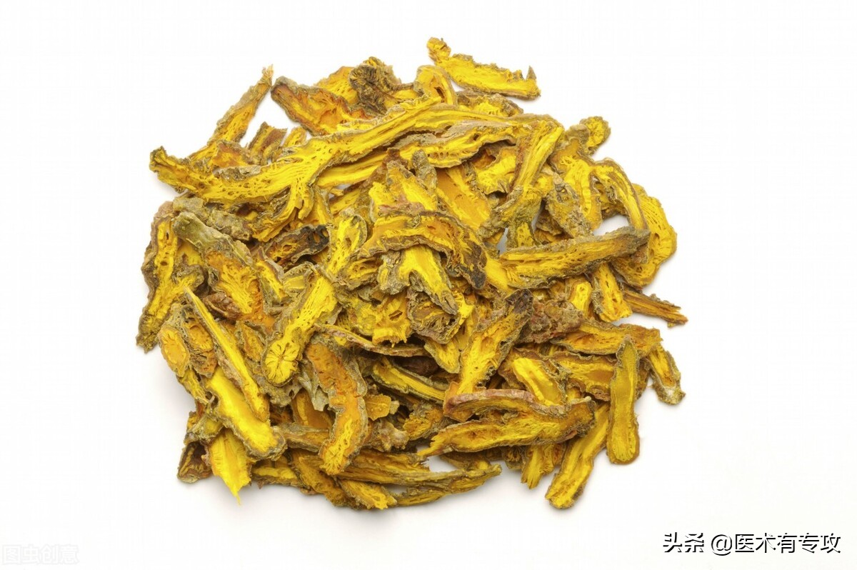 每天一味中药视频,每天一片黄连