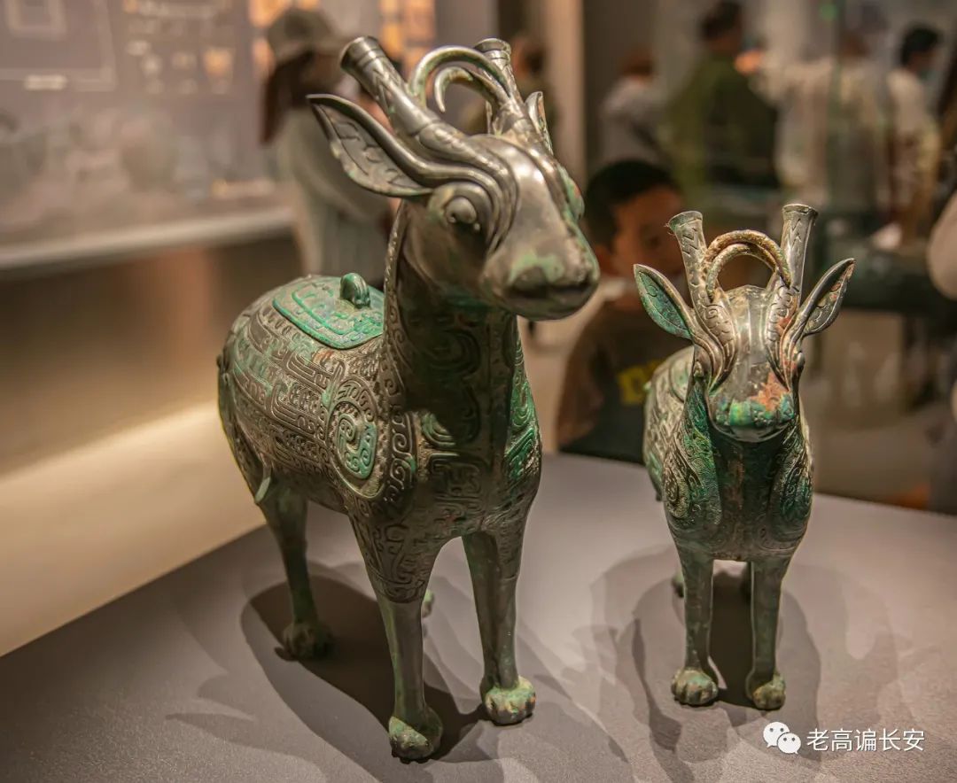 陕西考古博物馆几点放号,陕西考古博物馆门票预约