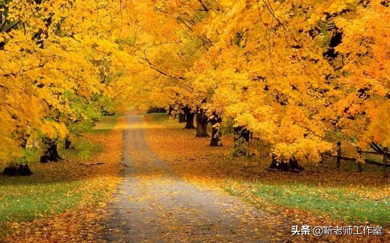 初一下册数学第一单元知识点整理,初一数学数据的收集和整理知识点