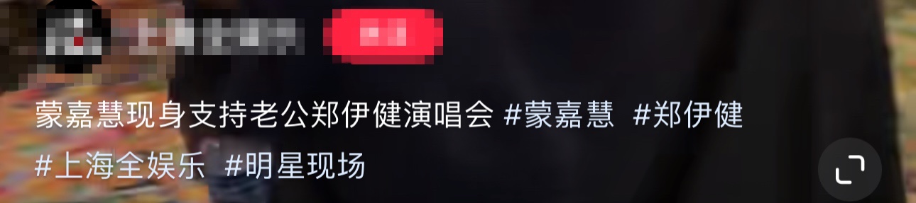 蒙嘉慧与老公近照图片大全,蒙嘉慧说日语惹争议