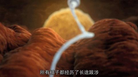 死去的生物突然开始攻击我,人类死亡后细胞拼命自救