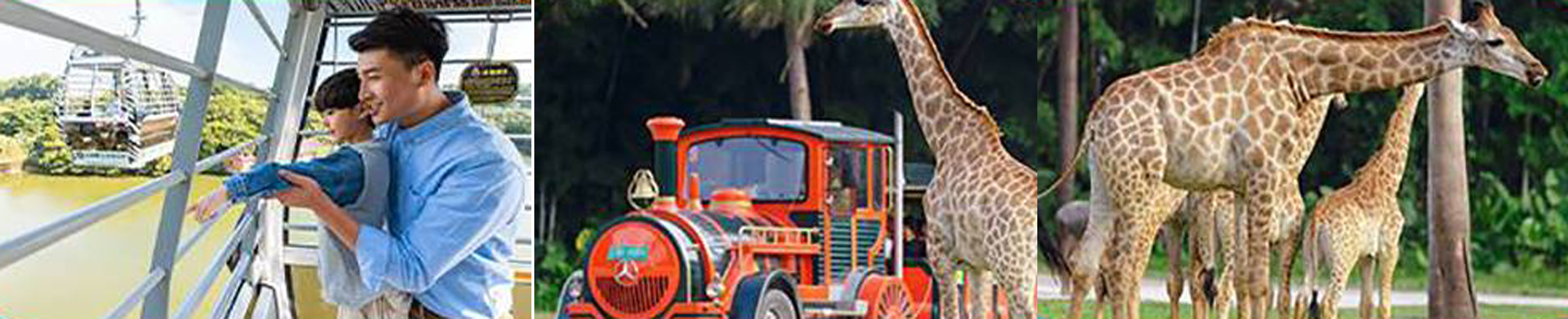 长隆野生动物世界门票,长隆野生动物世界地图