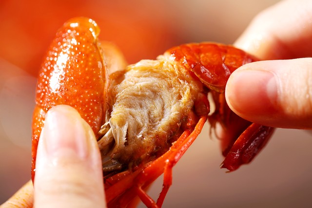 你们知道小龙虾哪里是不能吃的吗,小龙虾哪里能吃到哪里不能吃