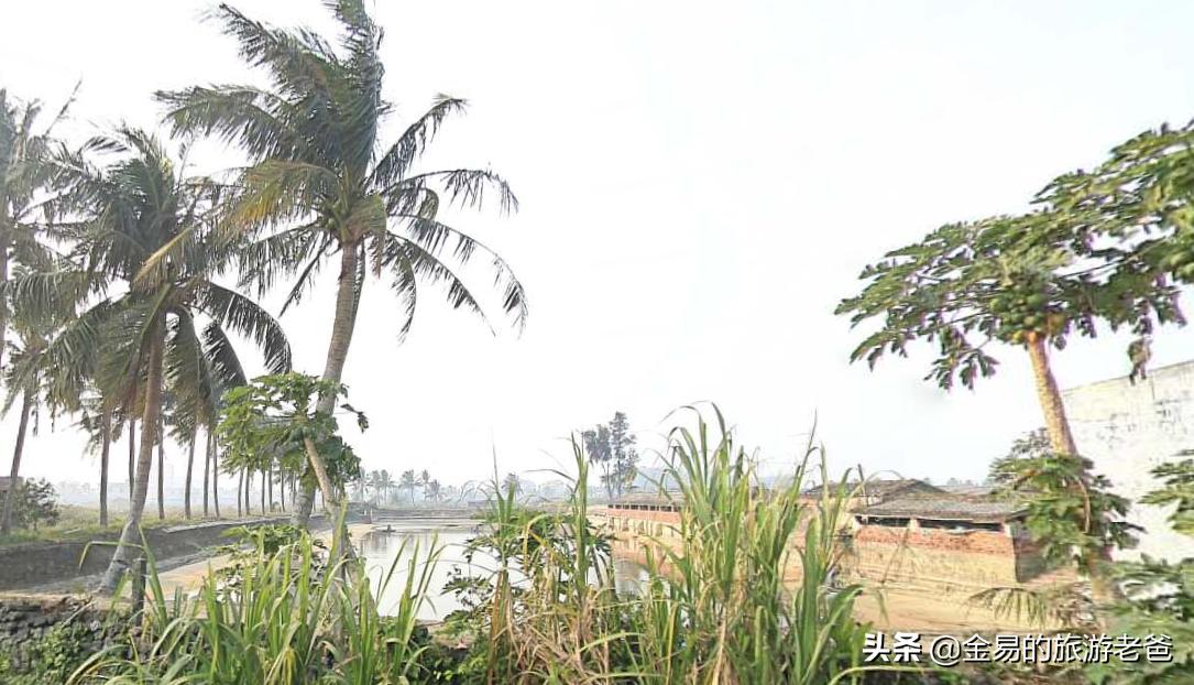 海南海口人说话,海南海口俯瞰图