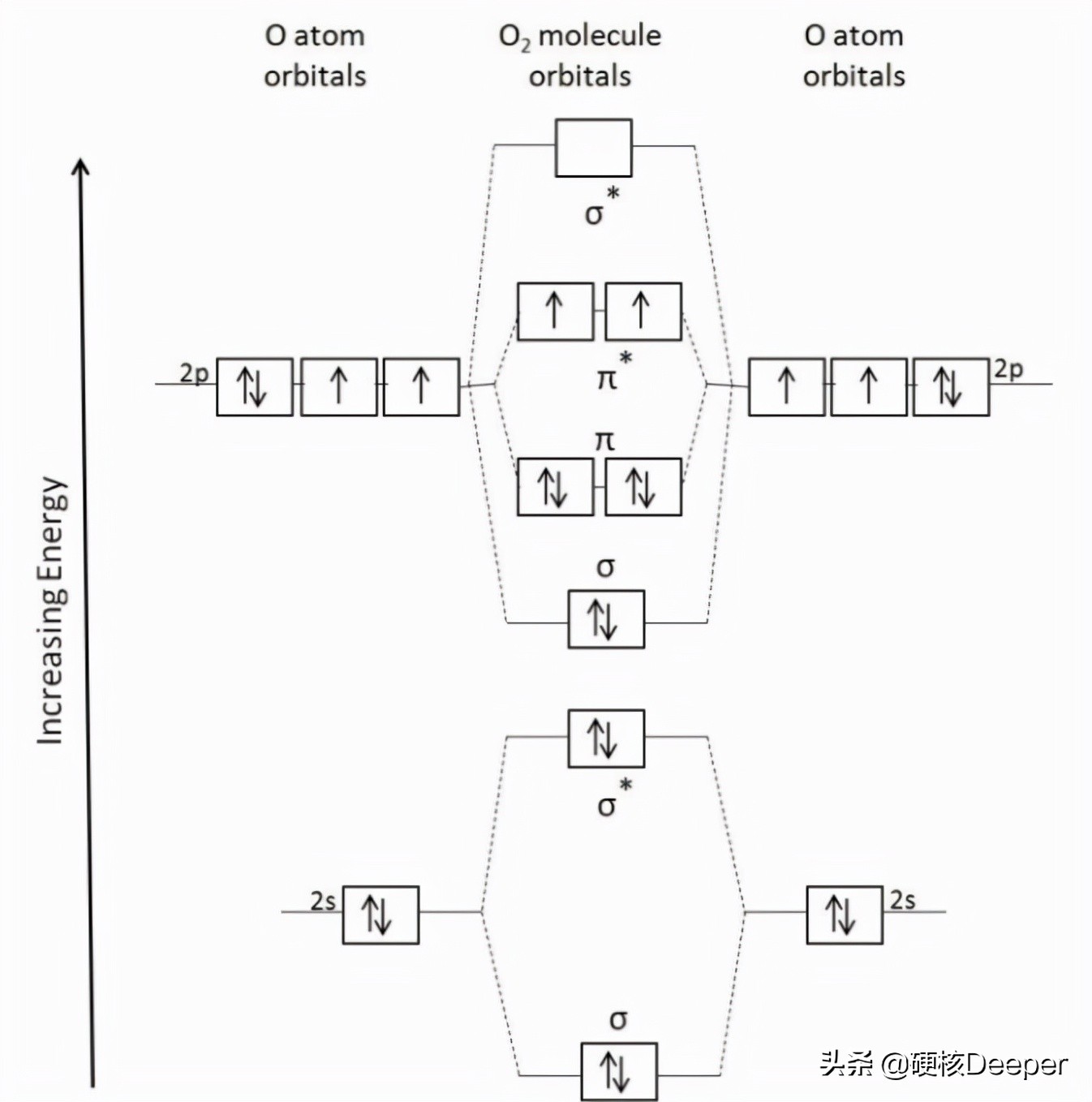 人类需要氮气的主要原因是什么,生物进化十大诡异现象