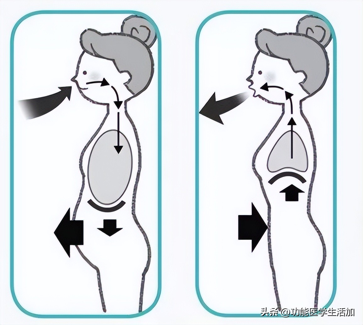 锻炼对寿命有影响吗,锻炼养生与寿命的关系