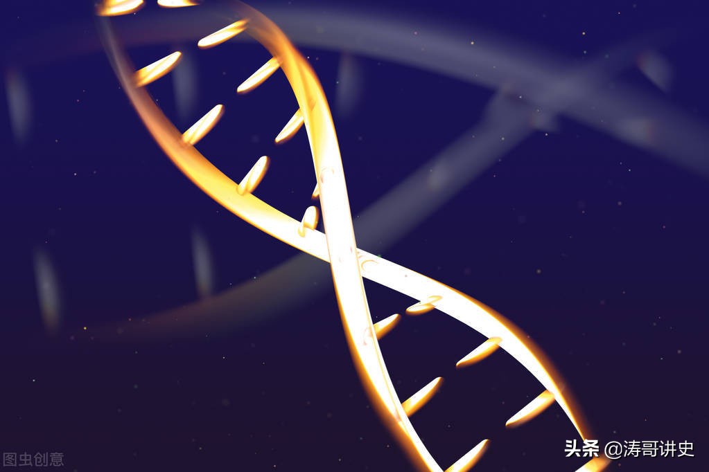 殷墟发现白人遗骨,殷墟遗址出土白人头骨