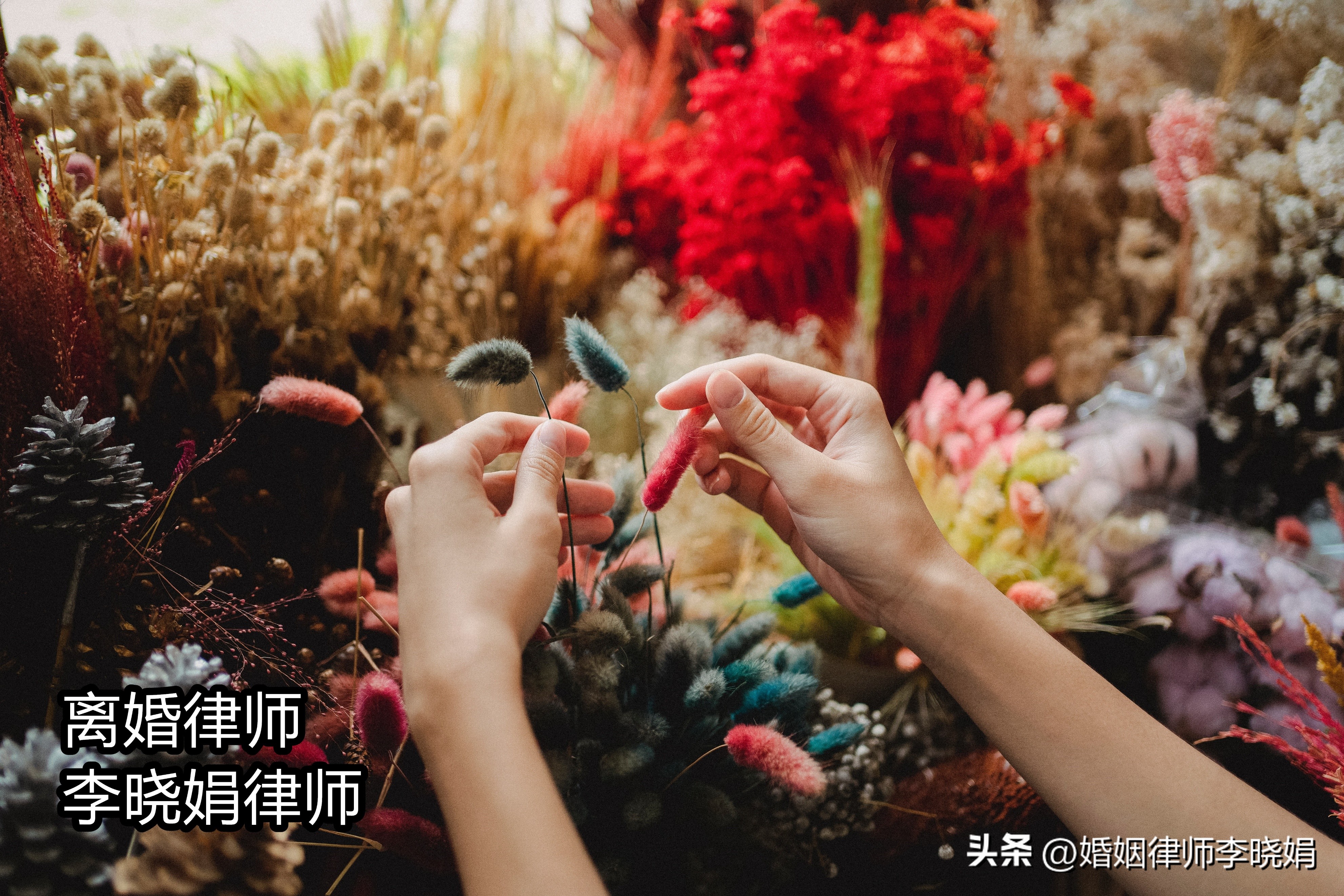 杭州西湖区离婚纠纷律师,杭州地区起诉离婚律师找谁好