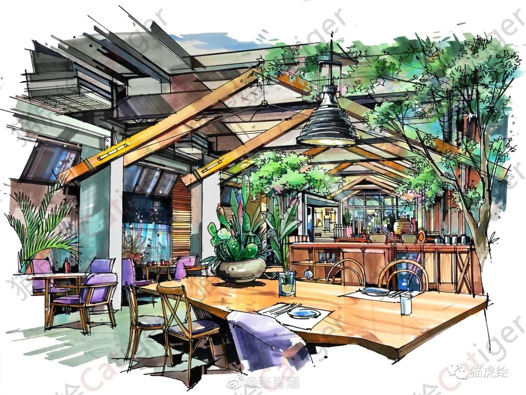 2022猫虎绘暑假手绘班招生简章「线上+线下」