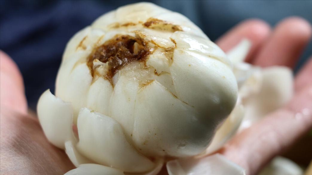 二阳后吃什么中成药提高免疫力,阳过以后吃什么中药提高免疫力