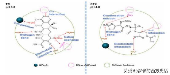 改性壳聚糖吸附重金属离子,改性活性炭吸附实验报告