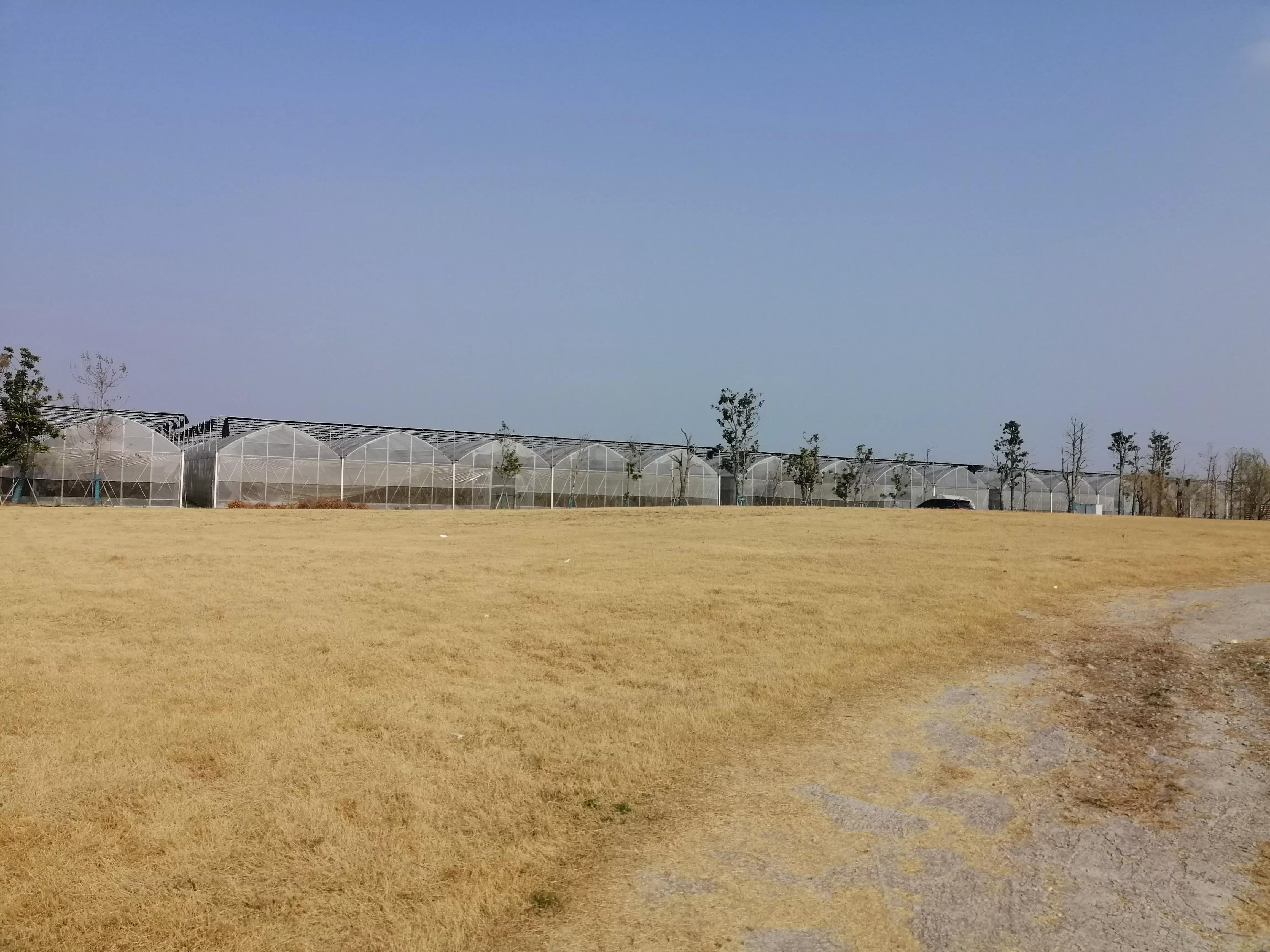 北湖共享农庄,澄湖农庄农家乐