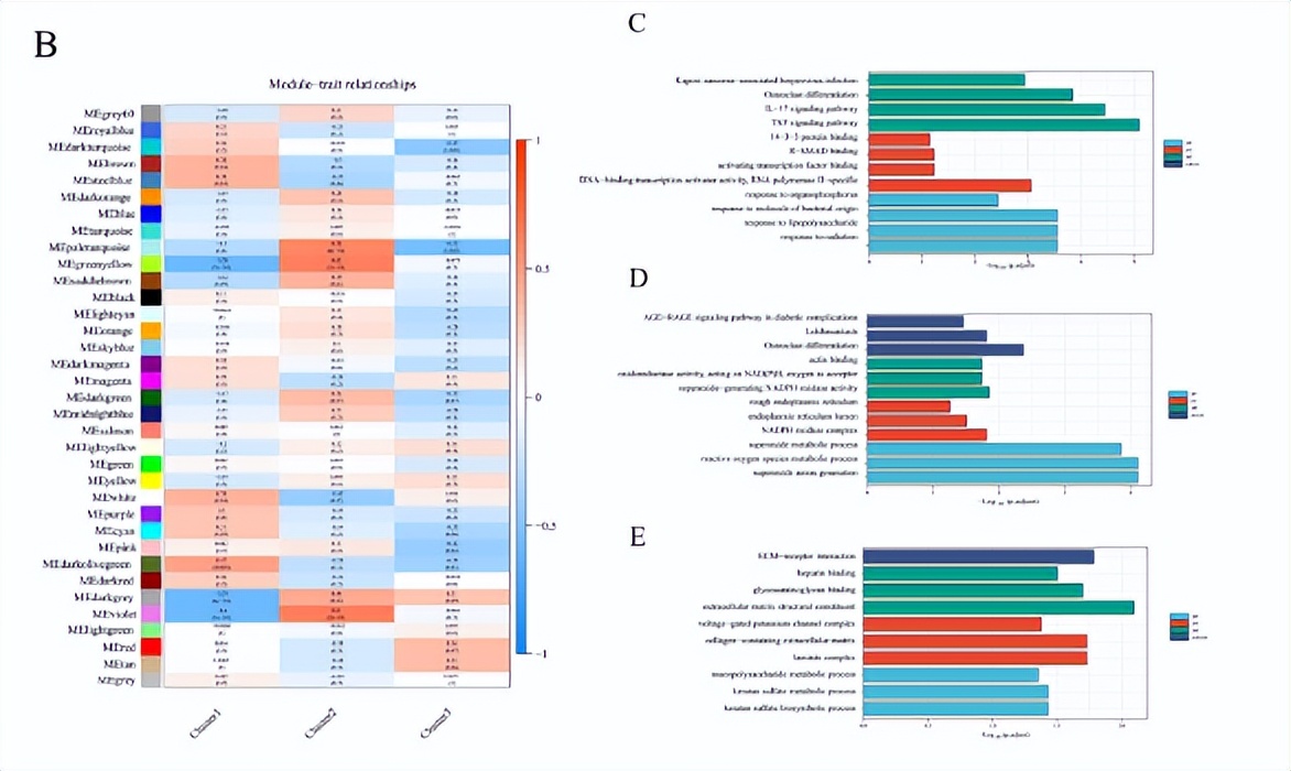 花生四烯酸代谢途径,花生四烯酸代谢途径及药物作用图