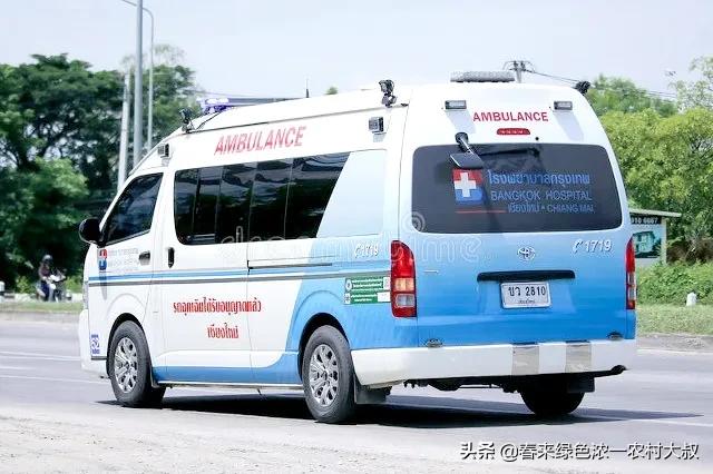 汪清不慎落水,汪清丢牛案始末