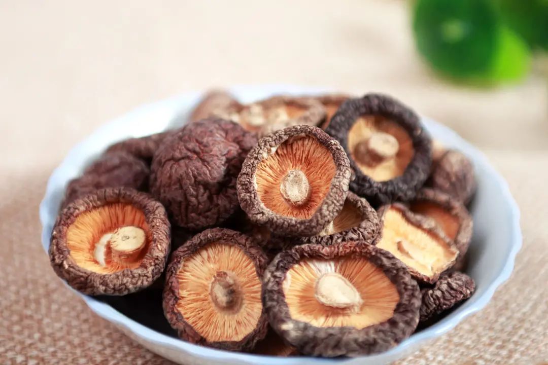 新鲜香菇与干香菇的区别和营养,干香菇和鲜香菇营养