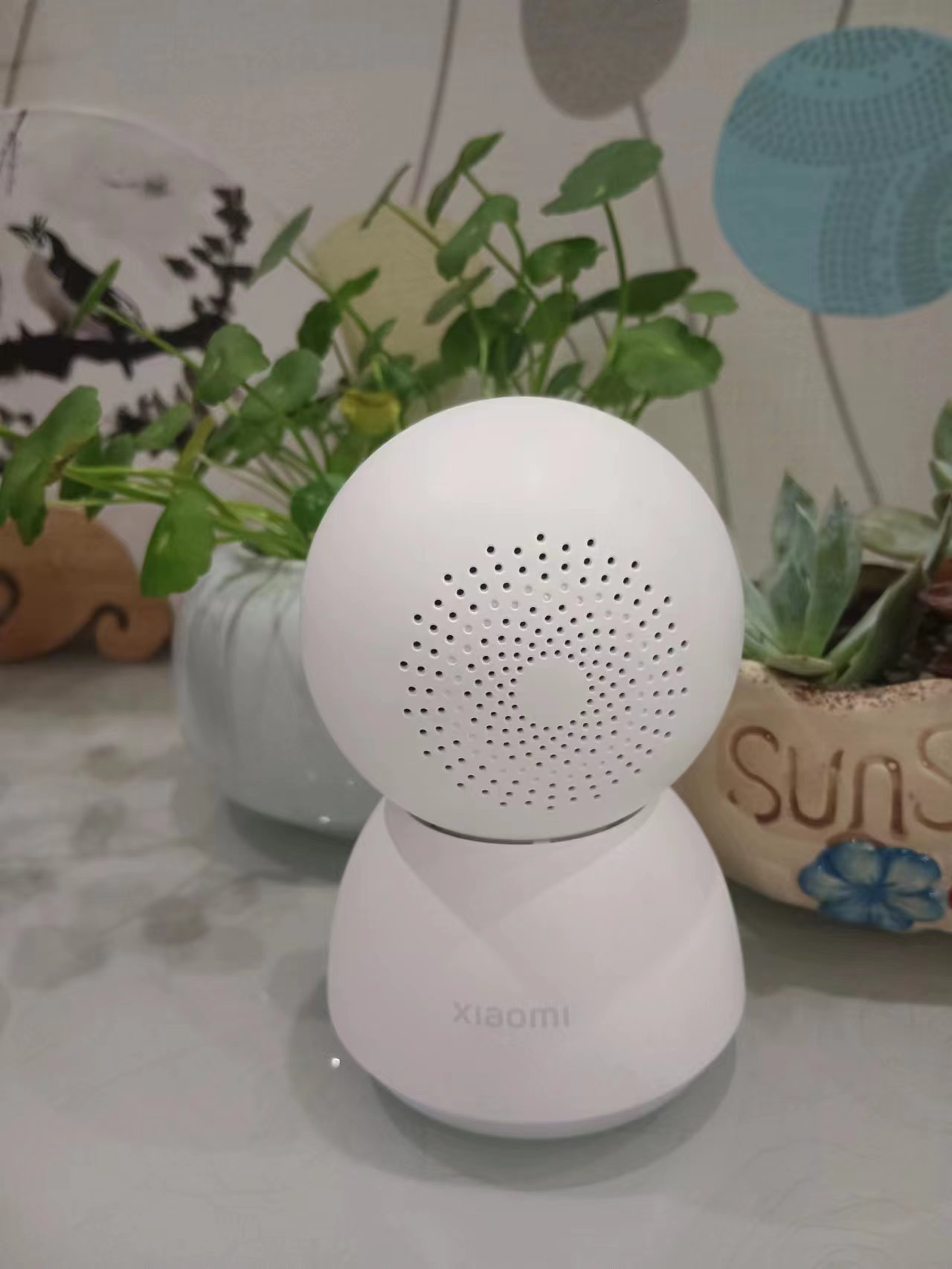 米家2k摄像头云台版可以用4g吗,米家云台2k