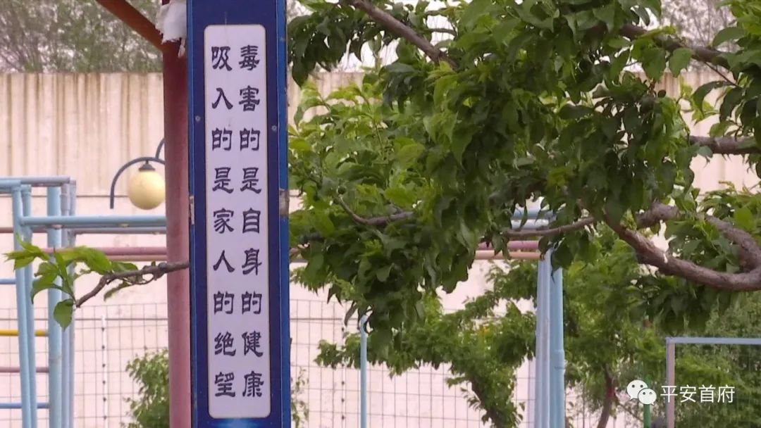 一朝吸毒一日戒毒答案是什么,一日吸毒十年戒毒说明了什么