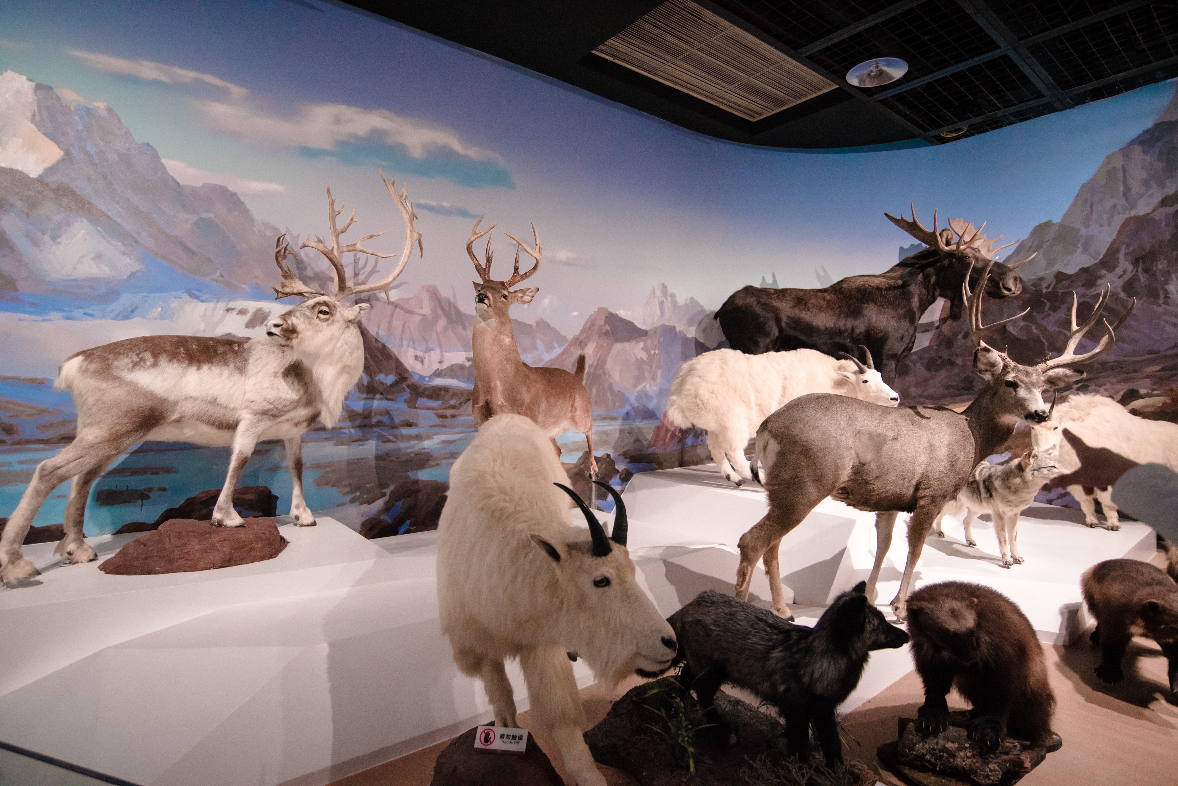 西安2023旅游攻略,2023年西安必去景点