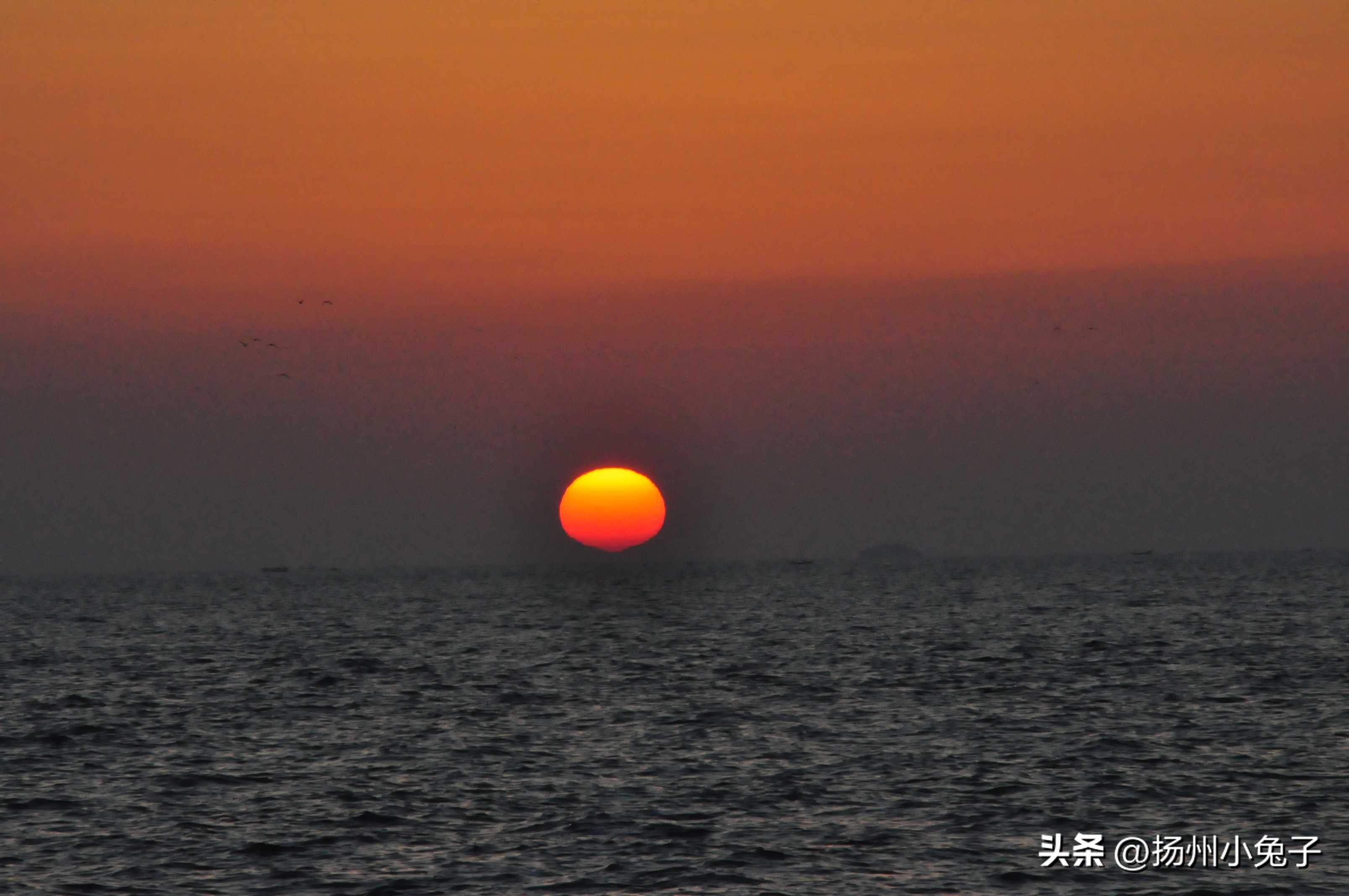 遇到羊几天后会有症状,这次羊最严重的症状是什么