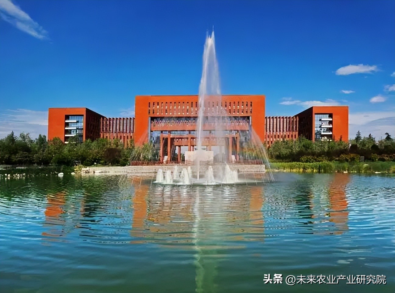 葡萄与葡萄酒工程,中国农业大学葡萄与葡萄酒工程