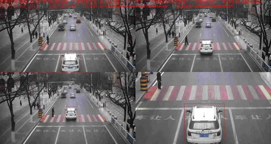 百日行动交警违法曝光,百日安全行动违规车辆