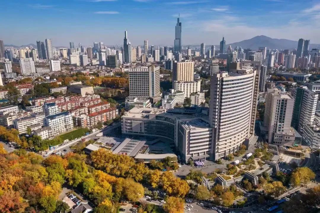 南京最新百强排名,盘点南京排名前十