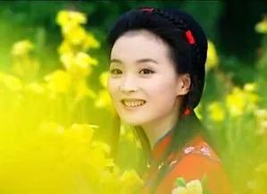 甄嬛传：我才明白纯元的“心上人”大胖橘，为何被玉娆果断拒绝？