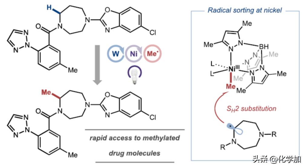 诺奖得主文章,诺奖得主成果有哪些