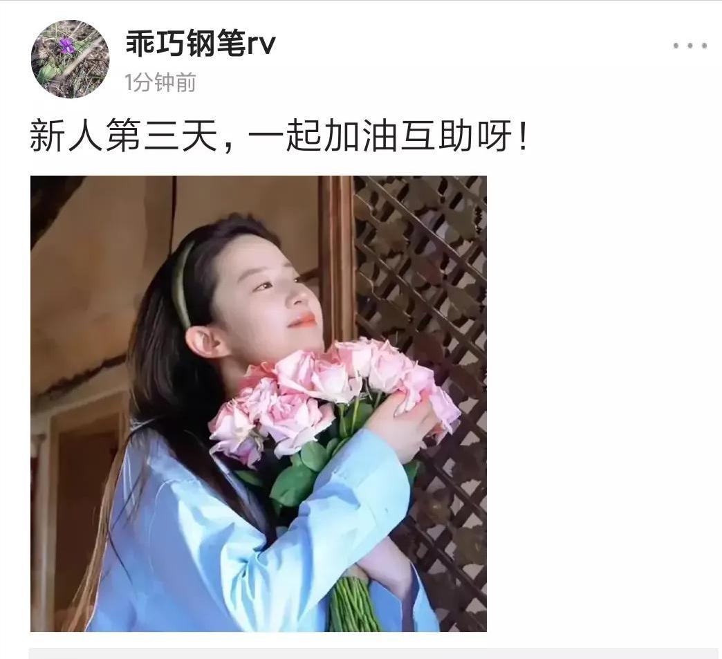 新手小白头条创作11天,新手小白头条阅读量