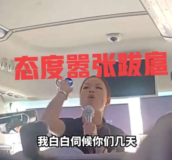 三亚一导游辱骂游客不购物事件,三亚游客骂导游后续