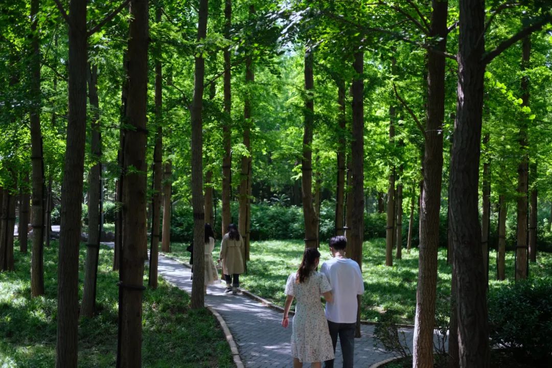 济南免费存放行李地方,存放物品济南