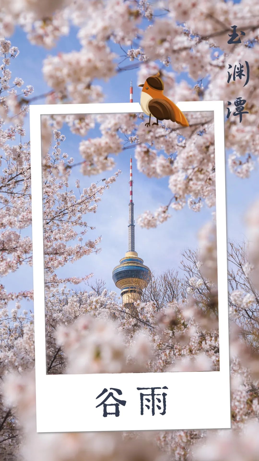鏄ユ湯澶忓垵闆ㄧ敓鐧捐胺,璋烽洦鏄ユ湯澶忓垵闆ㄧ敓鐧捐胺