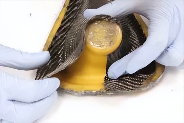 非热压罐工艺,碳纤维复合材料热压罐设计加工