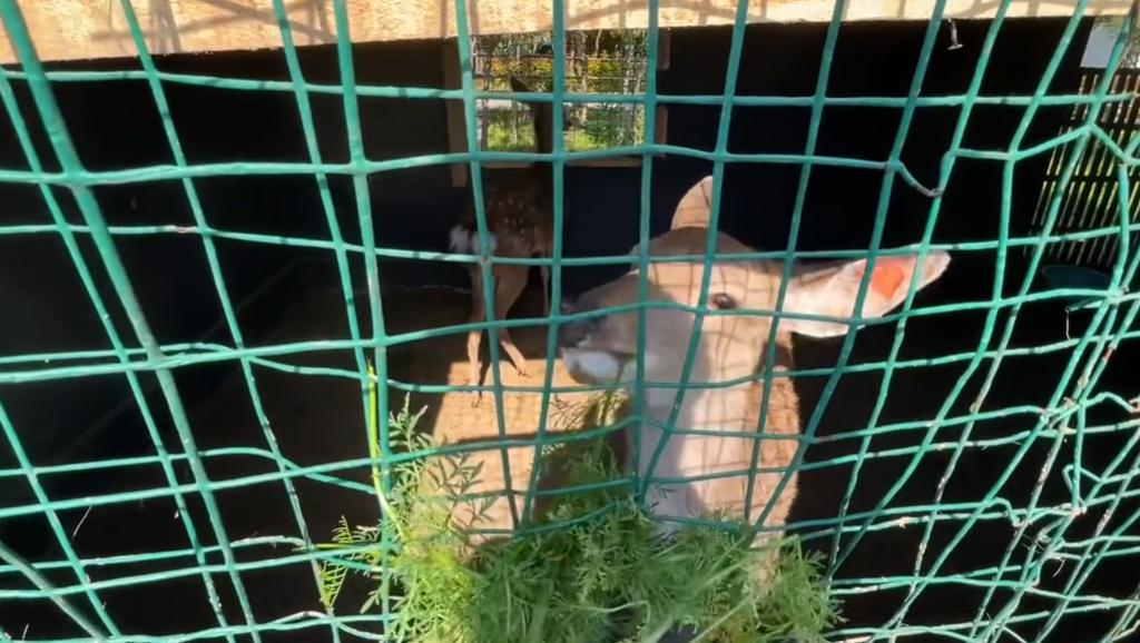 郑州周边网红打卡游玩攻略,适合孩子玩的郑州网红景点打卡地