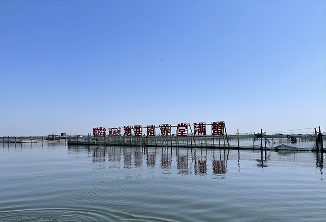 蟹满堂阳澄湖大闸蟹怎么样,蟹满堂大闸蟹