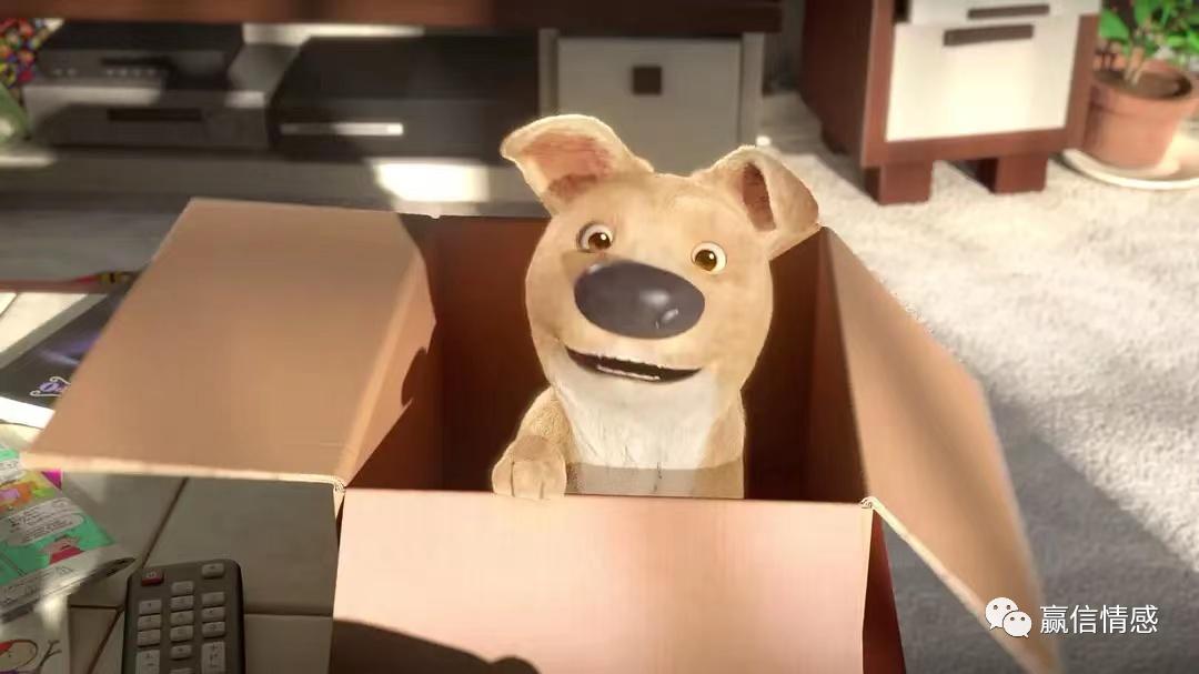 追女生送礼物要怎么说才合适,第一次送女友礼物送什么好