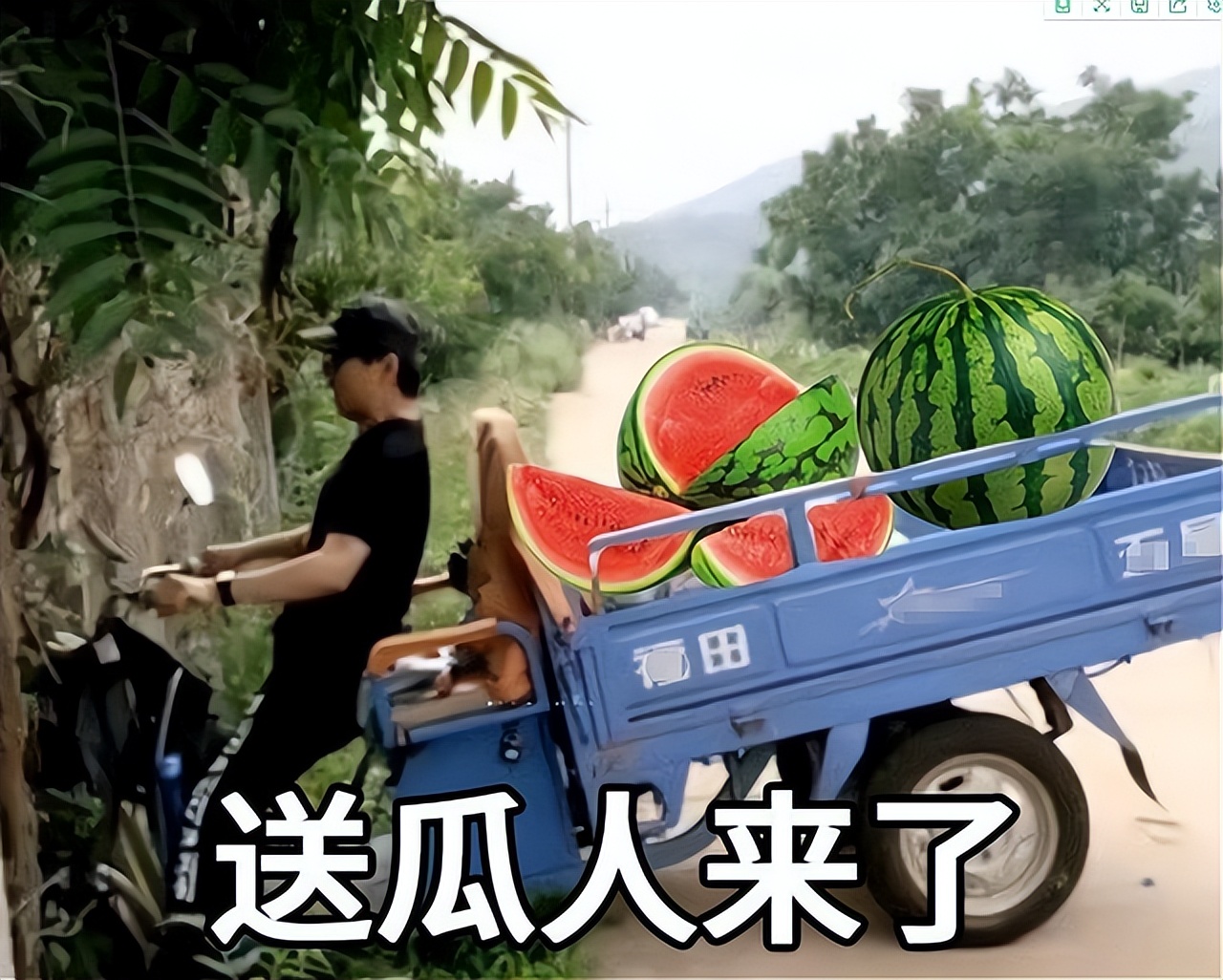 第一狗仔卓伟潘粤明,第一狗仔卓伟