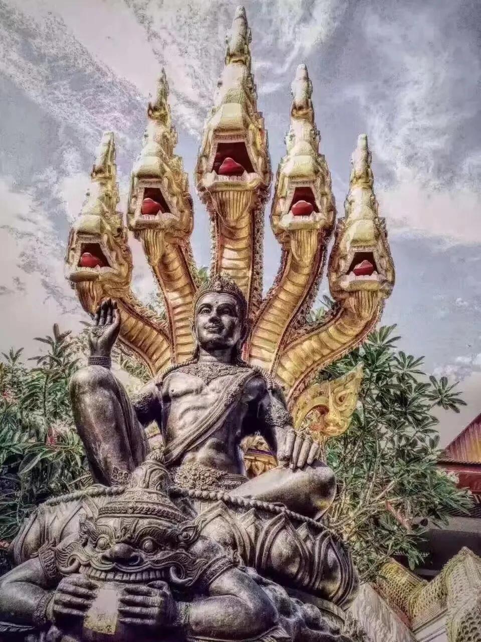 泰牌是啥做的,泰牌到底是什么