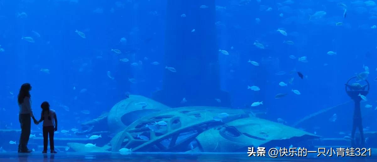 迪拜亚特兰蒂斯酒店阿卡桑餐厅,美女体验迪拜亚特兰蒂斯酒店