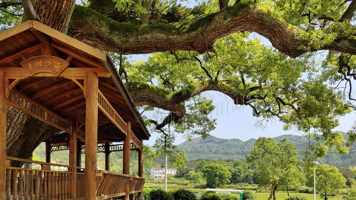 女性特质应该被定义吗,女性不是天生的而是后天被塑造的