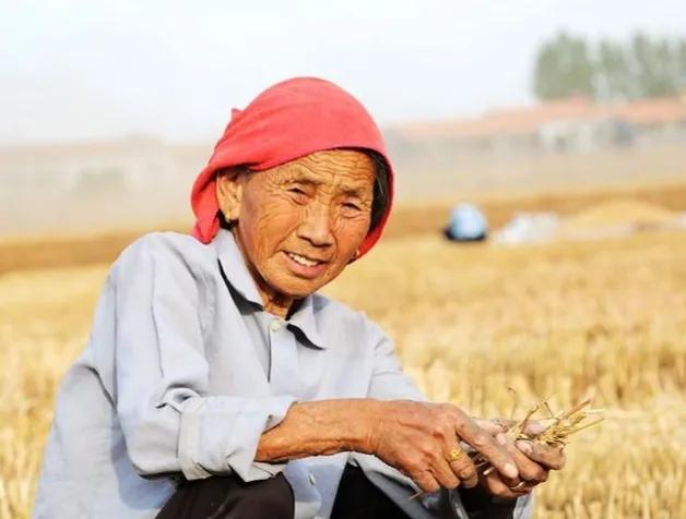 王奶奶的黄焖鸡酱,王奶奶的麻汁火烧